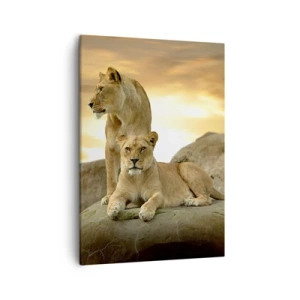 Quadro su tela - Stampe su Tela - Due leonesse riposano su una roccia durante il tramonto - 50x70cm - Maestà reale - Decorazione murale moderna per soggiorno e camera da letto ARTTOR