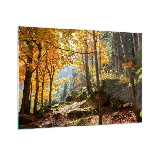 Quadro su vetro - Foresta autunnale con raggi di sole e pietre - 100x70cm - Il tempo del riposo - Decorazione murale moderna per soggiorno e camera da letto ARTTOR