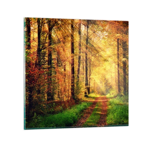 Quadro su vetro - Il silenzio d'oro del bosco - 30x30 cm