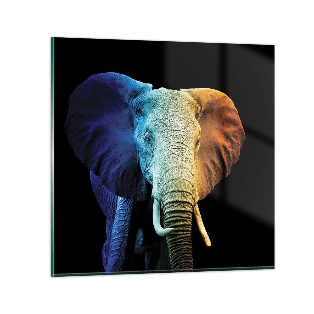 Quadro su vetro - Eccentrico, non strano - 70x70 cm