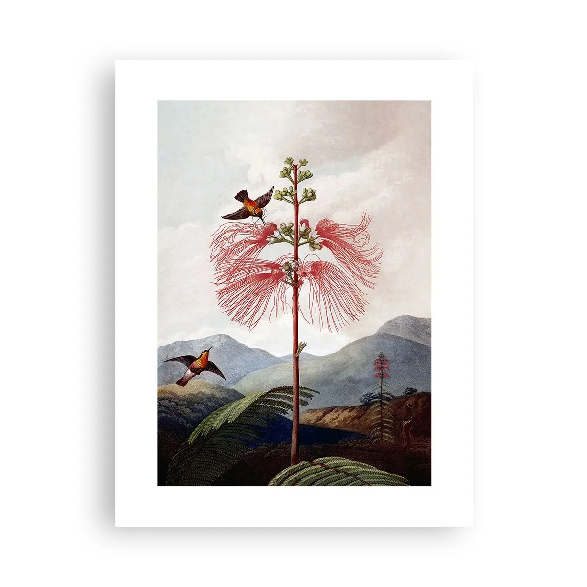 Poster - Nel paradiso tropicale - 30x40 cm