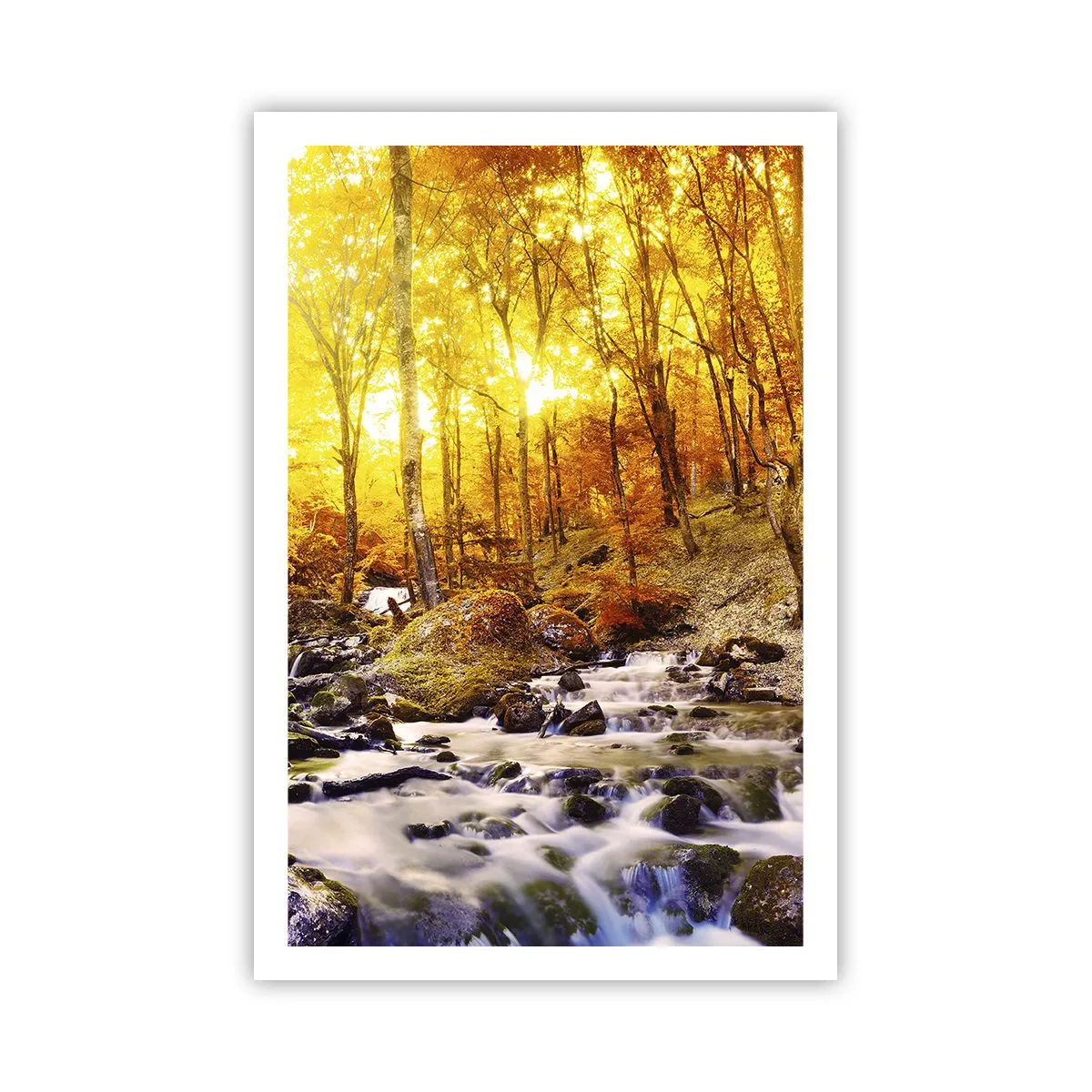 Poster - Pietre incorniciate in oro e platino - 61x91 cm