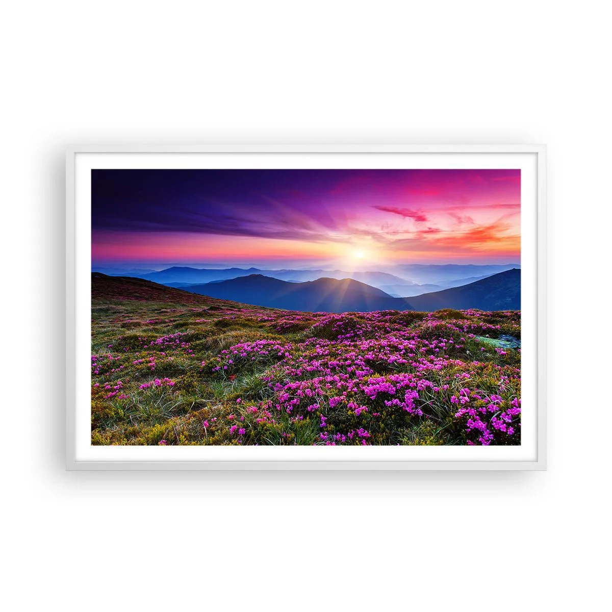 Poster in cornice bianca - Il profumo dei fiori freschi del campo - 91x61 cm