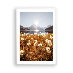 Poster in cornice bianca - Durezza delle pietre, morbidezza dell'erba - 50x70 cm