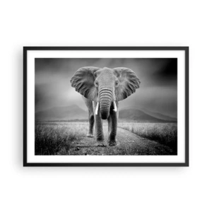 Poster in cornice nera - Un possente elefante nella savana in toni monocromatici - 70x50cm - Il padrone di casa dà il benvenuto - Decorazione murale moderna per soggiorno e camera da letto ARTTOR