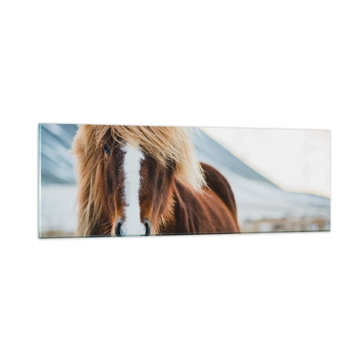 Quadro su vetro - Senti la libertà? - 90x30 cm