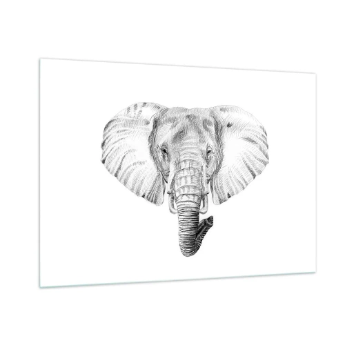Quadro su vetro - Disegno in bianco e nero della testa di un elefante su sfondo bianco - 100x70cm - C'era un volta un elefante - Decorazione murale moderna per soggiorno e camera da letto ARTTOR