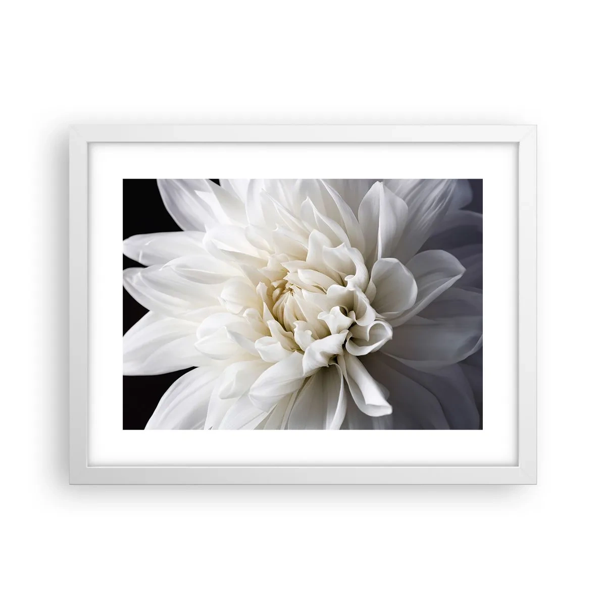 Poster in cornice bianca - Il mattino della sposa - 40x30 cm