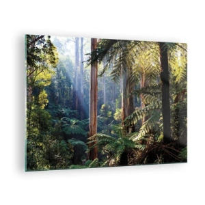Quadro su vetro - Foresta tropicale verde con raggi di sole - 70x50cm - La favola del bosco - Decorazione murale moderna per soggiorno e camera da letto ARTTOR