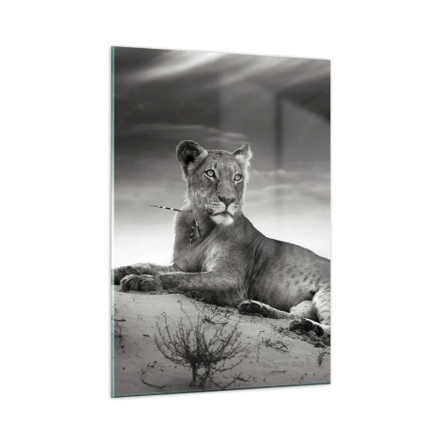 Quadro su vetro - Lasciato sdraiato nel deserto in una cornice in bianco e nero - 50x70cm - Il riposo della regina del deserto - Decorazione murale moderna per soggiorno e camera da letto ARTTOR