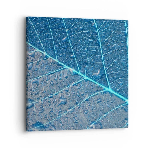 Quadro su tela - Stampe su Tela - Vita nel blu - 30x30 cm