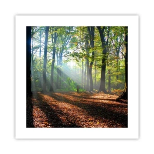 Poster - Luci e ombre - 40x40 cm