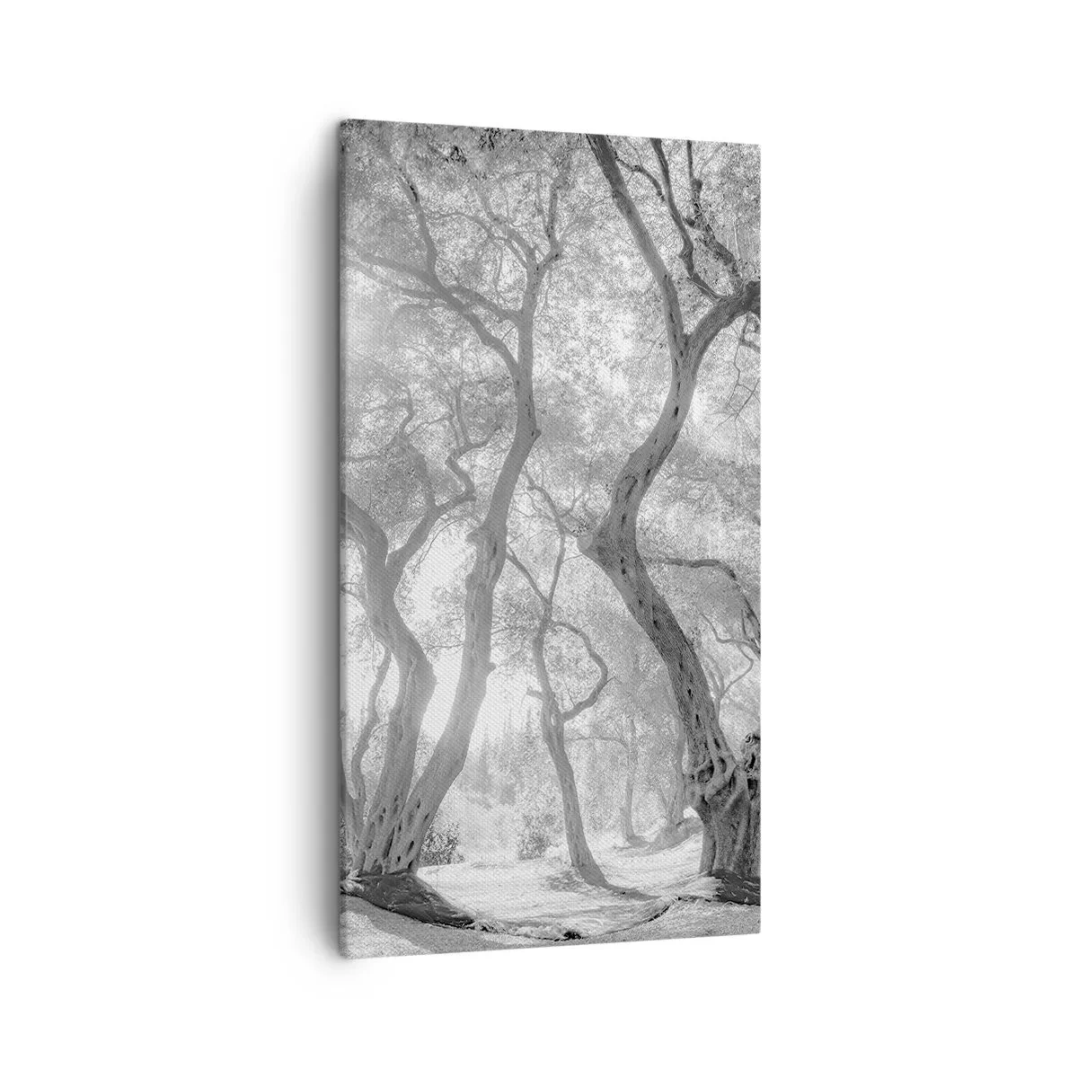 Quadro su tela - Stampe su Tela - Nell'orto degli ulivi - 45x80 cm