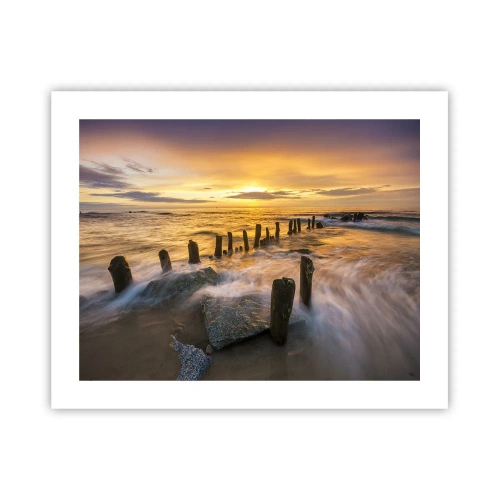 Poster - La bellezza selvatica del Baltico - 50x40 cm