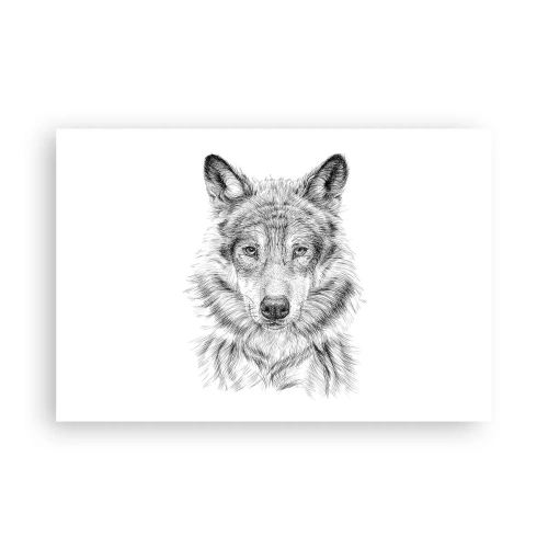 Poster - Condottiero nato - 91x61 cm