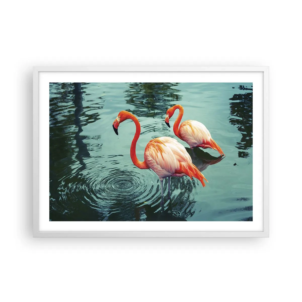 Poster in cornice bianca - Adesso siamo di moda - 70x50 cm