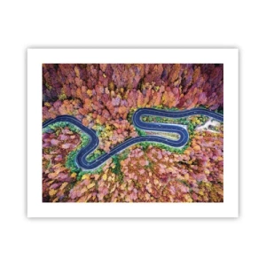 Poster - Via tortuosa attraverso il bosco - 50x40 cm