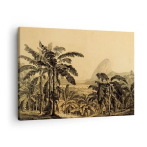 Quadro su tela - Stampe su Tela - Disegno di alberi di banana su uno sfondo di paesaggio tropicale - 70x50cm - Nel clima coloniale - Decorazione murale moderna per soggiorno e camera da letto ARTTOR
