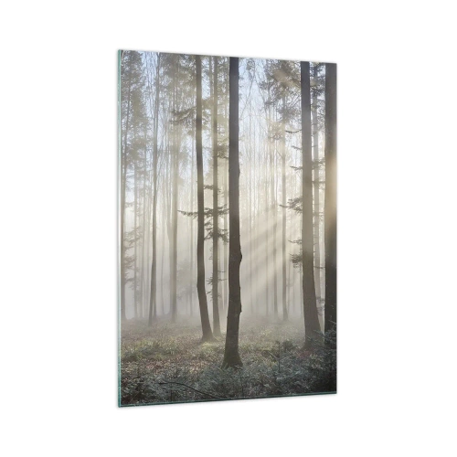Quadro su vetro - Una foresta in una leggera nebbia con raggi di sole che brillano attraverso gli alberi - 70x100cm - Anche la nebbia si è svegliata - Decorazione murale moderna per soggiorno e camera da letto ARTTOR