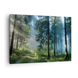 Quadro su tela - Stampe su Tela - Un sentiero nel bosco illuminato dai raggi del sole mattutino - 70x50cm - Raggiante all'alba - Decorazione murale moderna per soggiorno e camera da letto ARTTOR