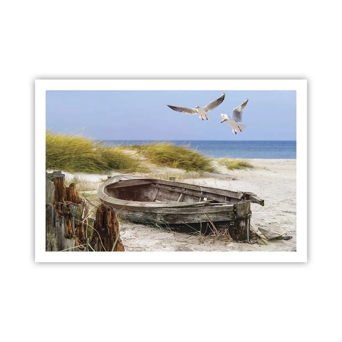 Poster - Bagnate dal vento - 91x61 cm