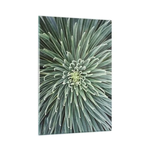 Quadro su vetro - Disposizione simmetrica di foglie verdi che ricordano una stella - 80x120cm - La nascita delle stelle - Decorazione murale moderna per soggiorno e camera da letto ARTTOR