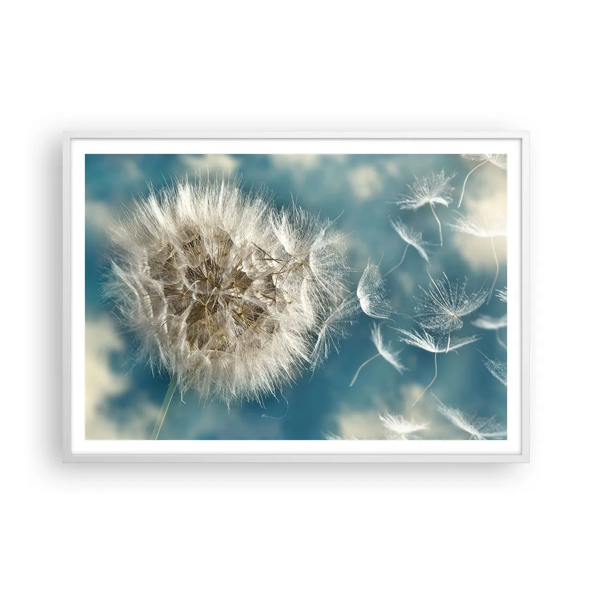 Poster in cornice bianca - Il respiro dell'angelo - 100x70 cm