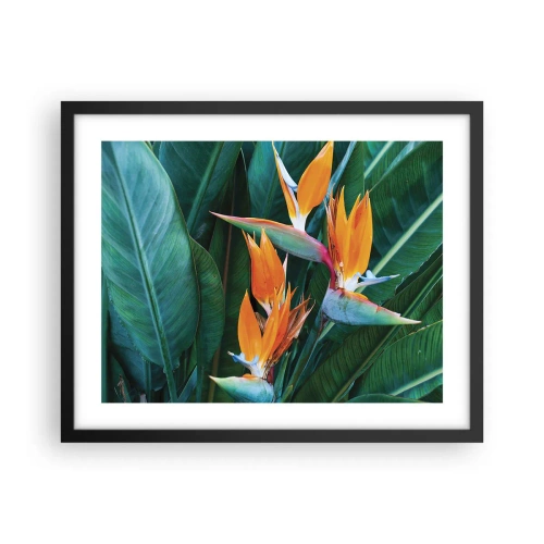 Poster in cornice nera - È un fiore o un uccello? - 50x40 cm