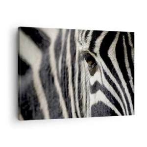 Quadro su tela - Stampe su Tela - Primo piano dell'occhio di una zebra con strisce bianche e nere - 70x50cm - Ritratto a strisce - Decorazione murale moderna per soggiorno e camera da letto ARTTOR