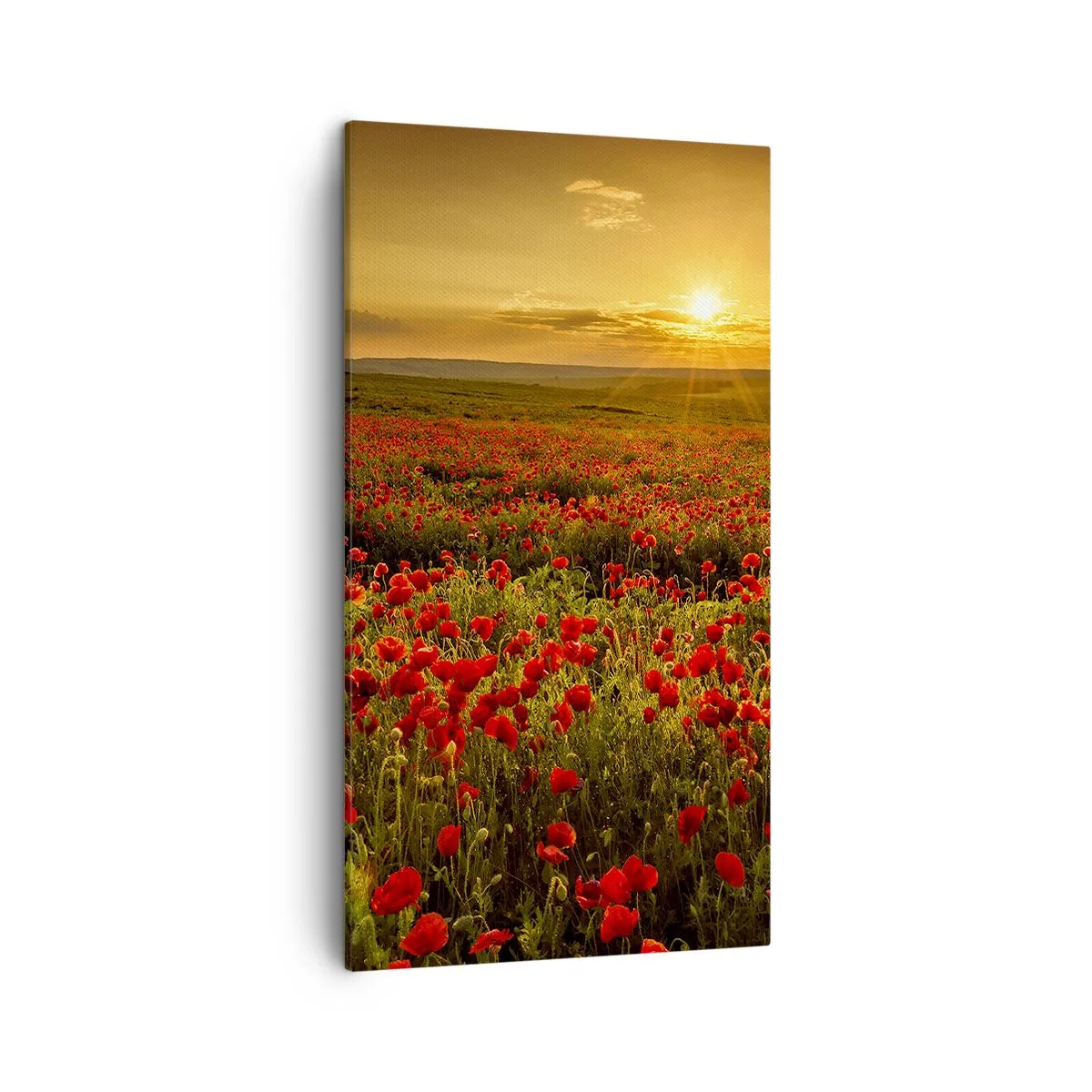 Quadro su tela - Stampe su Tela - Tra il fruscio delle erbe, in un'esplosione di fiori - 45x80 cm