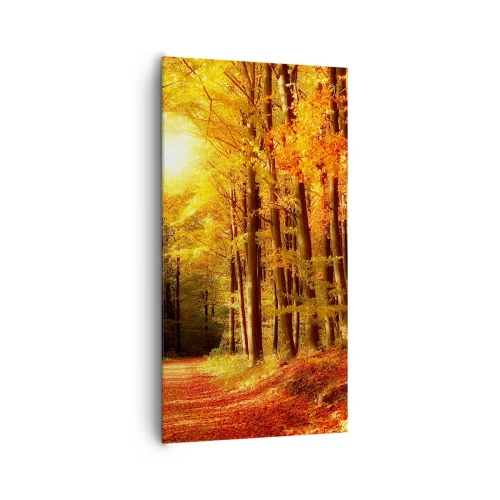Quadro su tela - Stampe su Tela - Autunno dorato nella via nel bosco - 65x120 cm