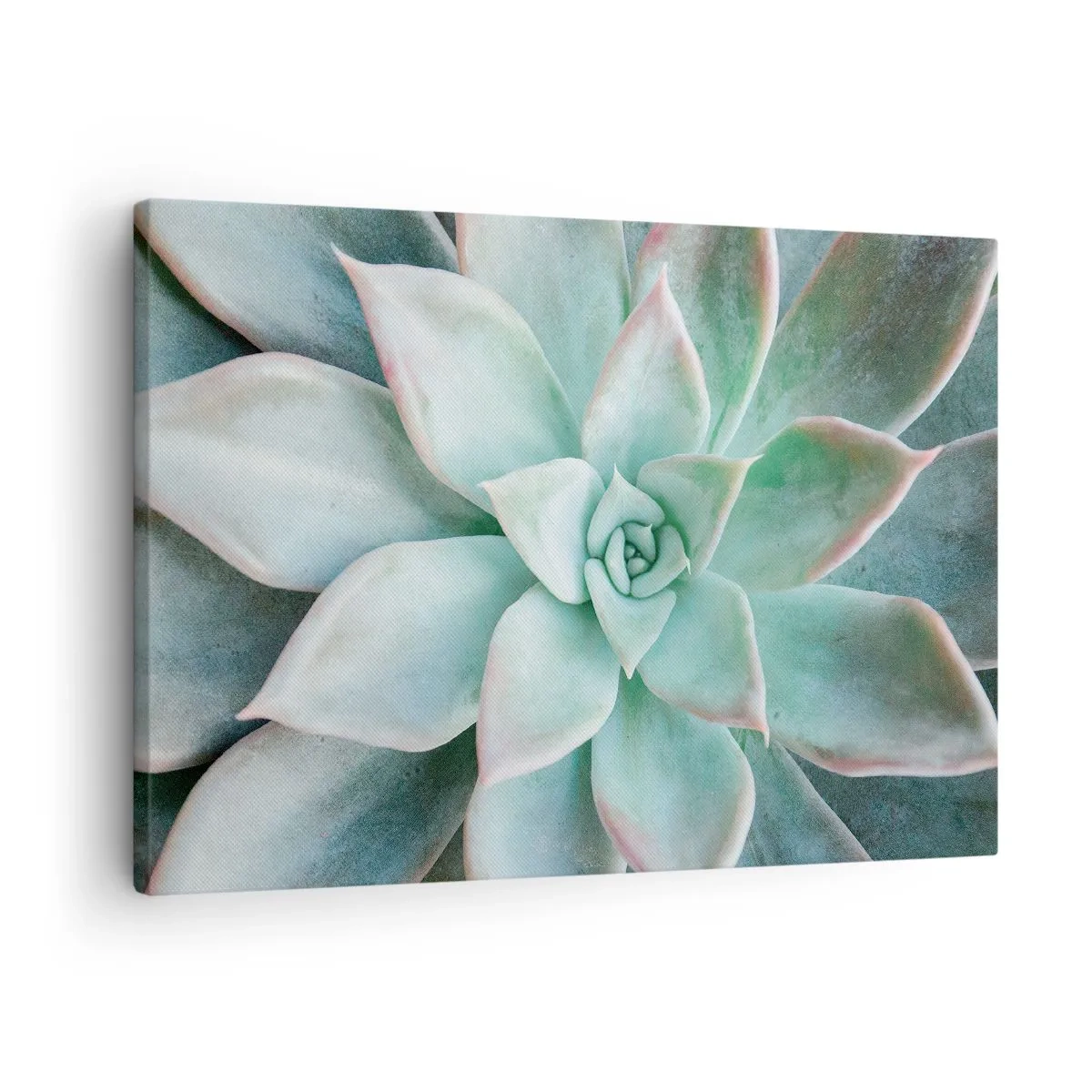 Quadro su tela - Stampe su Tela - Primo piano di una succulenta verde - 70x50cm - Il cuore del deserto - Decorazione murale moderna per soggiorno e camera da letto ARTTOR