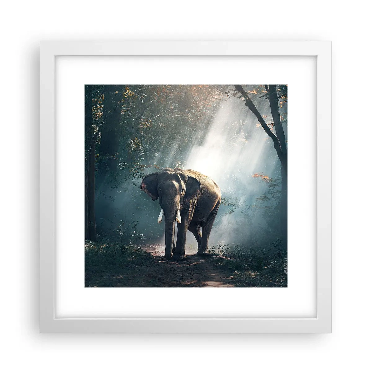 Poster in cornice bianca - Tranquilla passeggiata - 30x30 cm