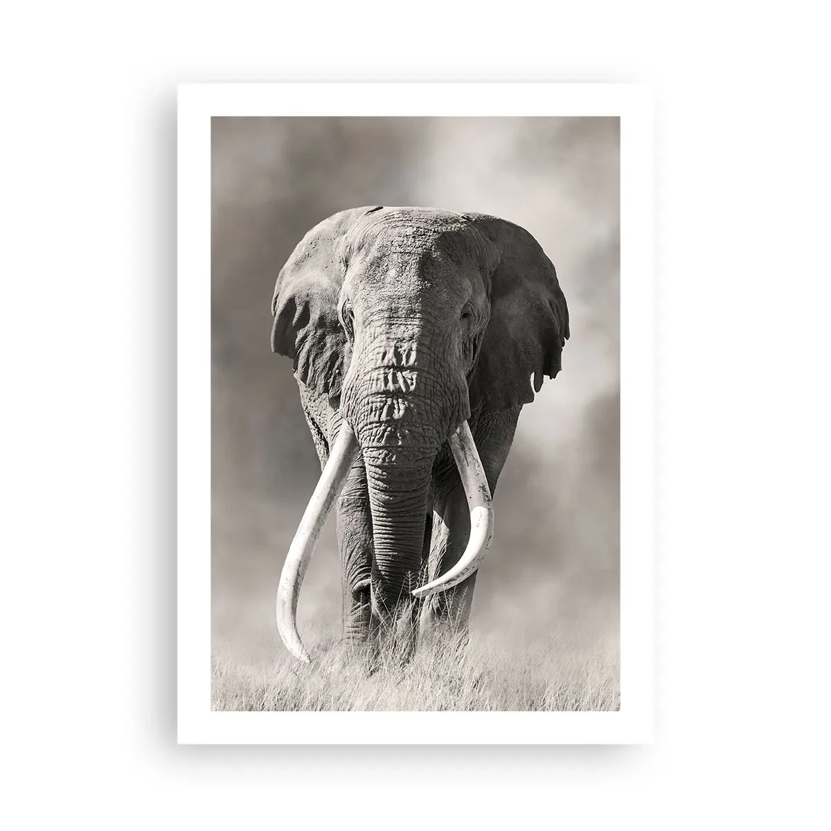 Poster - Ritratto monocromatico di un maestoso elefante - 50x70cm - Patriarca africano - Decorazione murale moderna per soggiorno e camera da letto ARTTOR