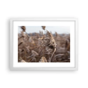 Poster in cornice bianca - è tempo di volare col vento - 40x30 cm