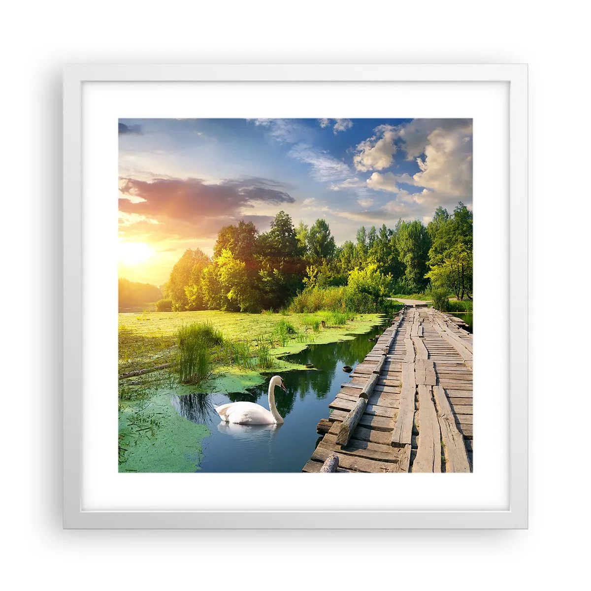Poster in cornice bianca - Estate, estate ovunque - 40x40 cm