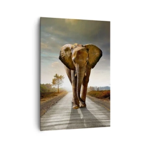 Quadro su tela - Stampe su Tela - Un elefante che cammina lungo una strada attraverso un paesaggio al tramonto - 70x100cm - E non nel negozio di cristalli - Decorazione murale moderna per soggiorno e camera da letto ARTTOR