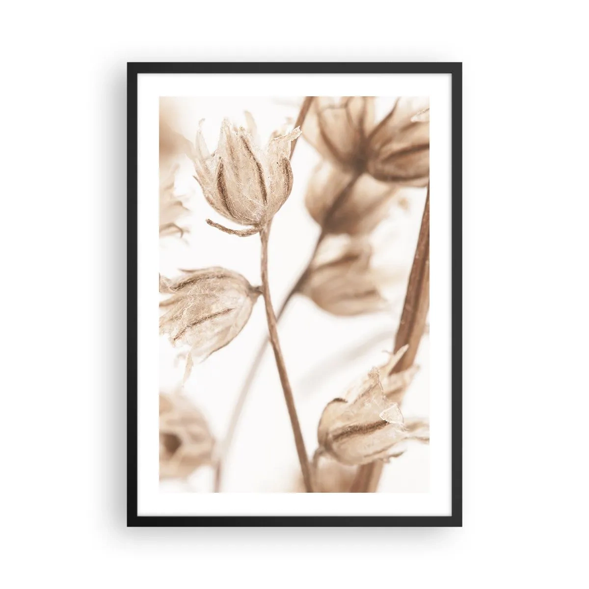 Poster in cornice nera - Piante secche in seppia su sfondo chiaro - 50x70cm - Suonano alla fine dell'estate - Decorazione murale moderna per soggiorno e camera da letto ARTTOR