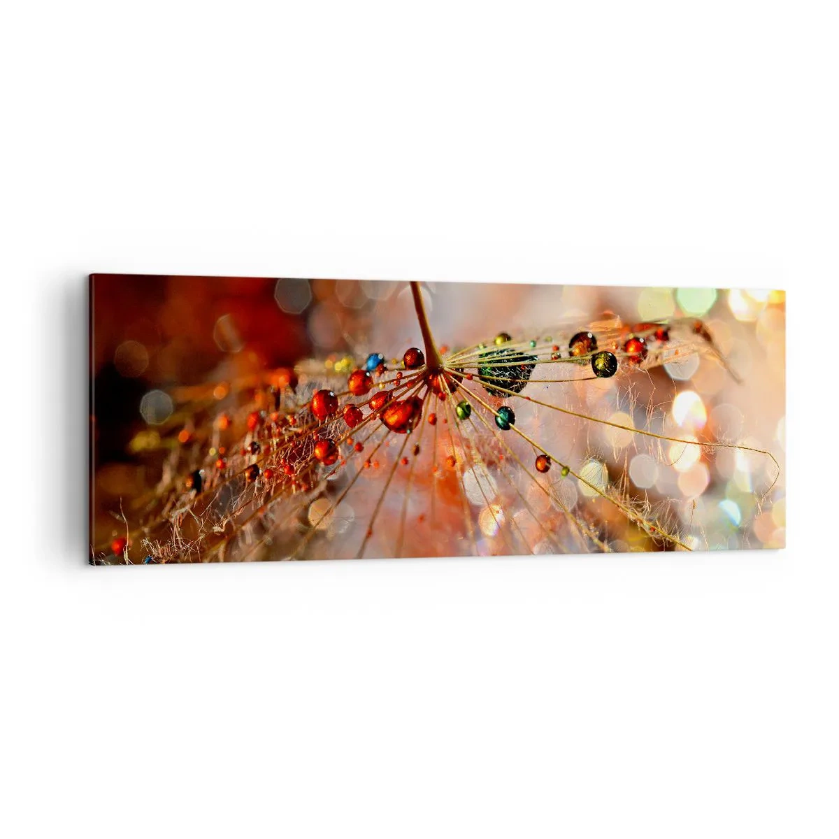 Quadro su tela - Stampe su Tela - Macrofotografia di una goccia d'acqua su una pianta delicata - 140x50cm - Posate sulla ragnatela - Decorazione murale moderna per soggiorno e camera da letto ARTTOR