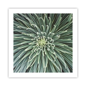 Poster - La nascita delle stelle - 50x50 cm