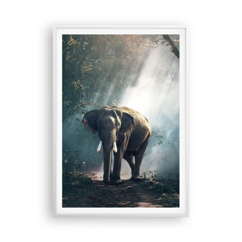 Poster in cornice bianca - Tranquilla passeggiata - 70x100 cm