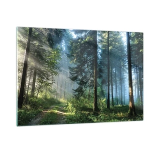 Quadro su vetro - Un sentiero nel bosco nella nebbia mattutina tra alberi alti - 120x80cm - Raggiante all'alba - Decorazione murale moderna per soggiorno e camera da letto ARTTOR