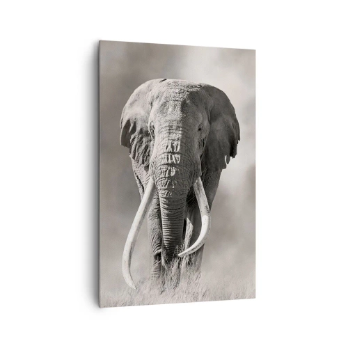 Quadro su tela - Stampe su Tela - Patriarca africano - 80x120 cm