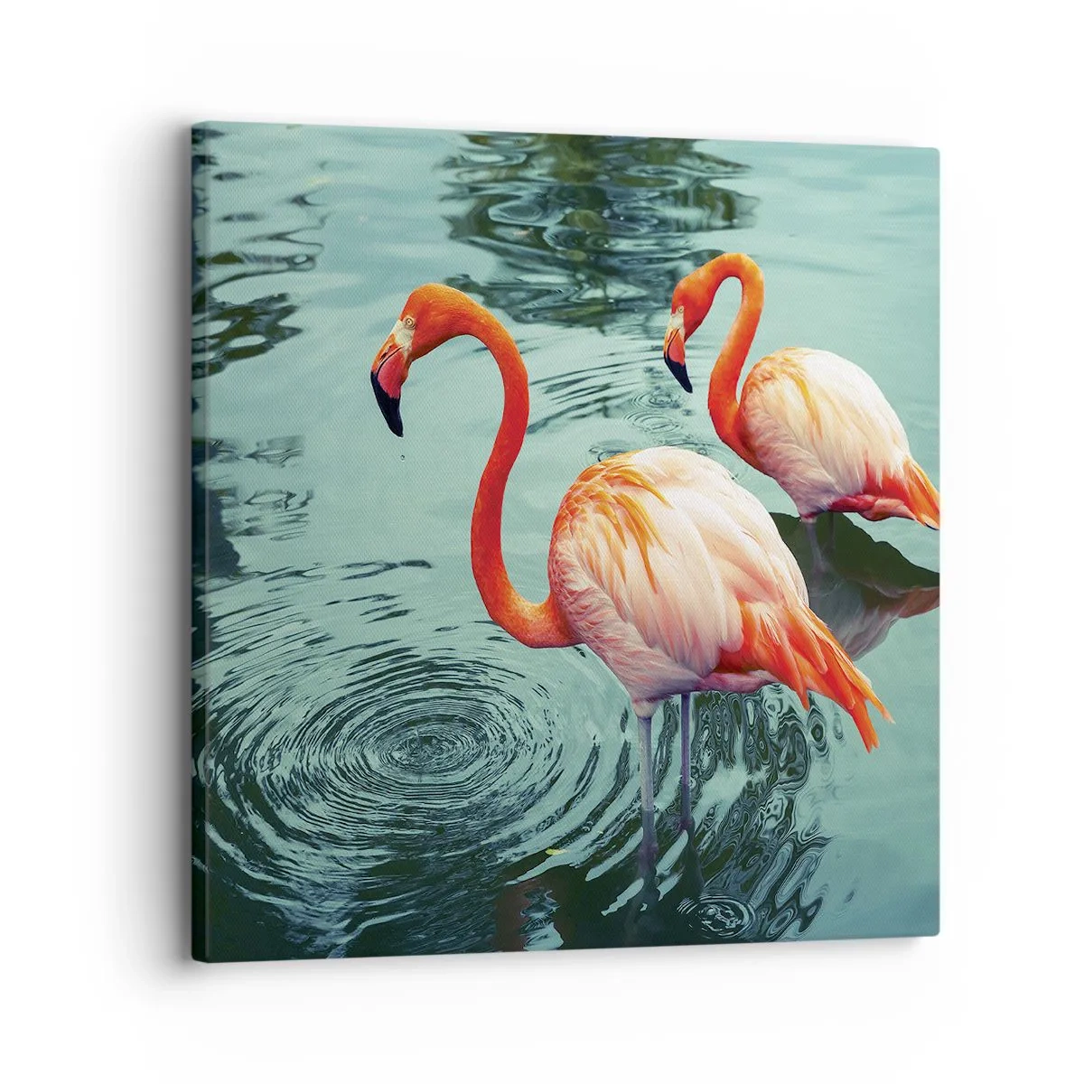 Quadro su tela - Stampe su Tela - Adesso siamo di moda - 30x30 cm