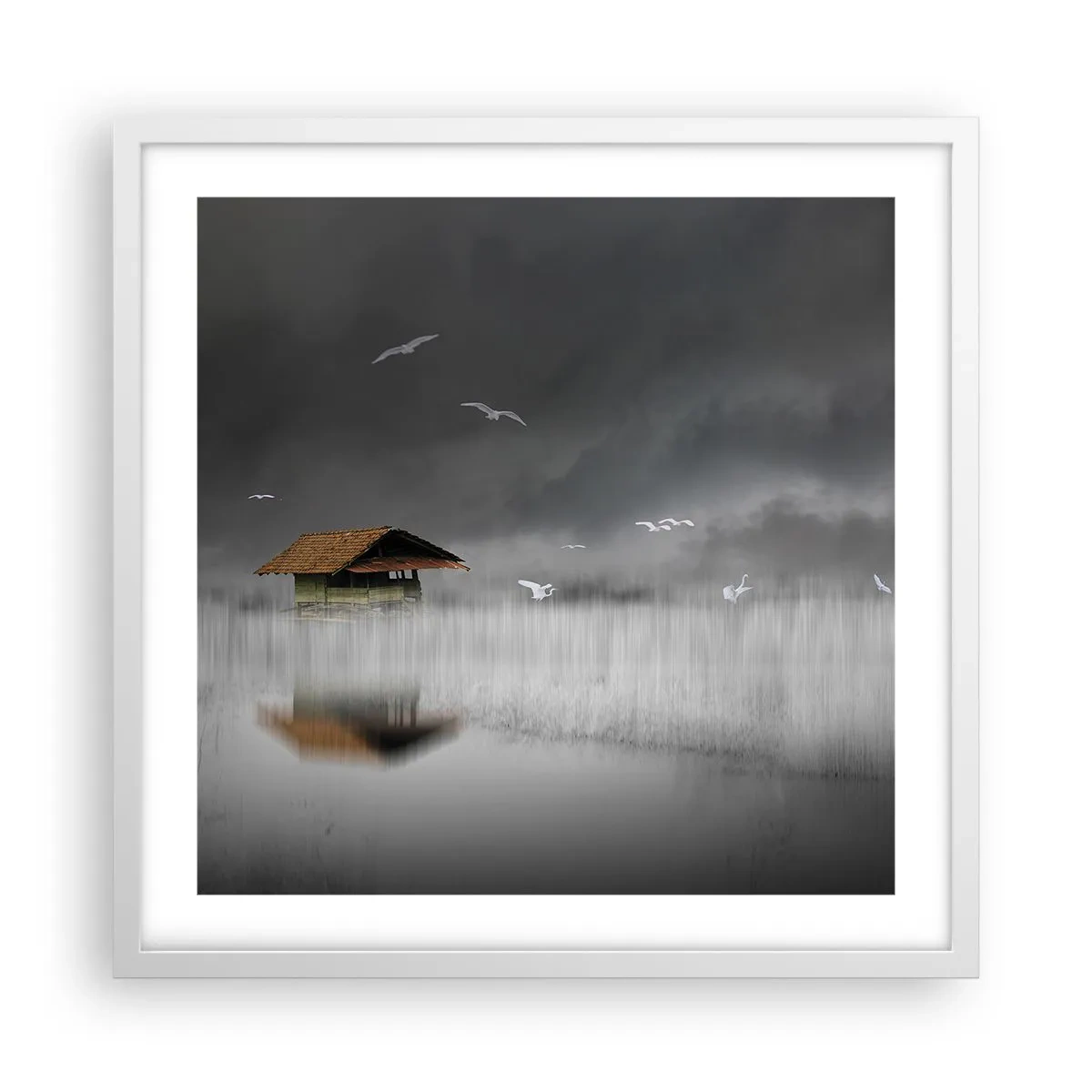 Poster in cornice bianca - Riparo dalla pioggia - 50x50 cm