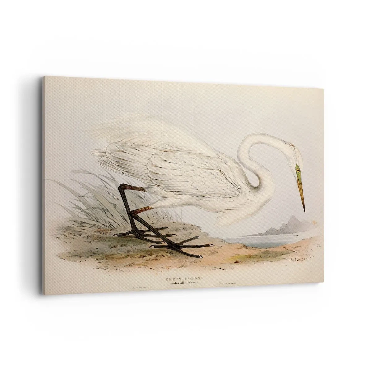 Quadro su tela - Stampe su Tela - Disegno di un airone bianco su uno sfondo di paesaggio naturale - 100x70cm - La signora nel canneto - Decorazione murale moderna per soggiorno e camera da letto ARTTOR