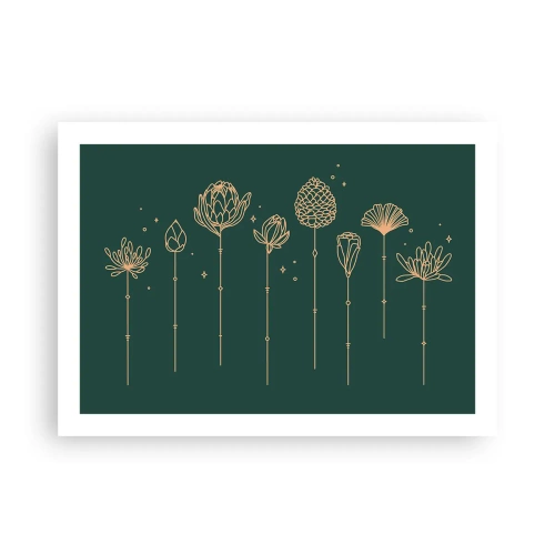 Poster - La famiglia delle erbe - 70x50 cm