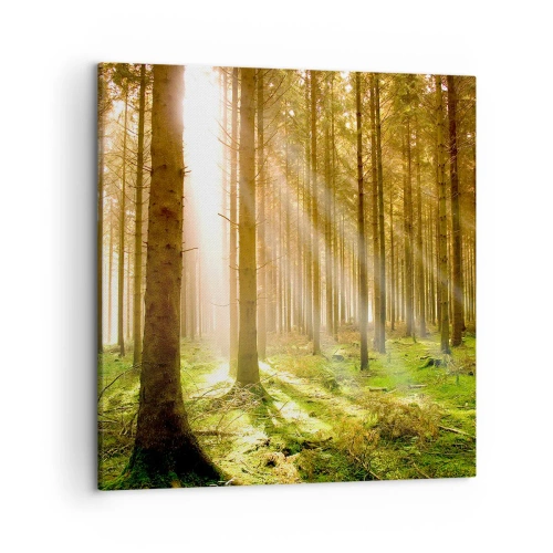 Quadro su tela - Stampe su Tela - Adesso appaiono gli elfi - 50x50 cm