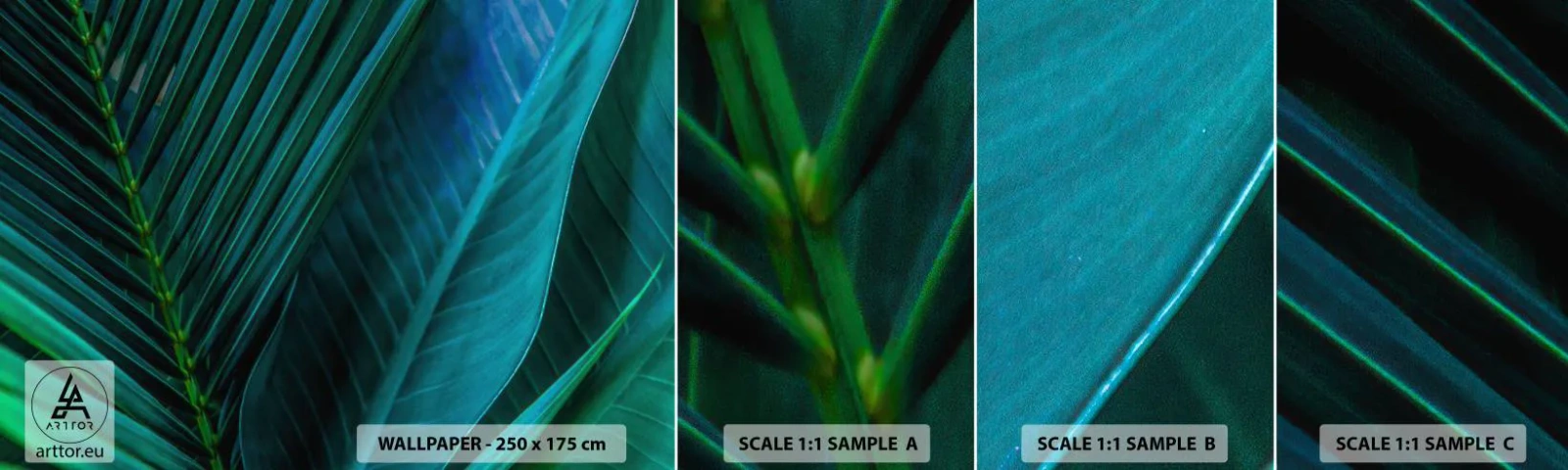 Campione di Fotomurale Adesivo Deluxe Sticker - Anatomia del verde - Foglie verdi, Pianta tropicale, Natura - 100x30 cm