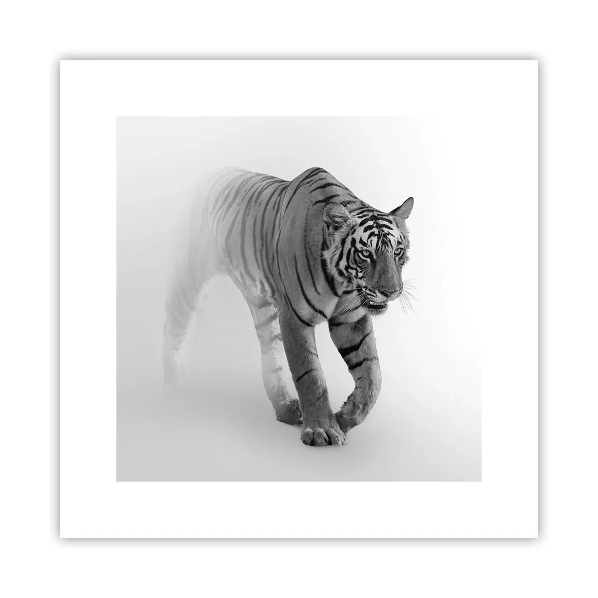 Poster - Incantato nella nebbia - 30x30 cm